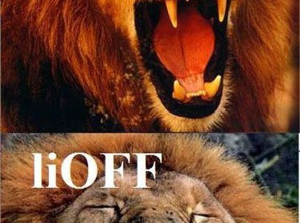 LiOn :D