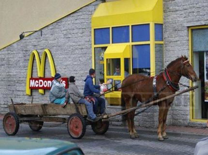 McDrive Horse :D