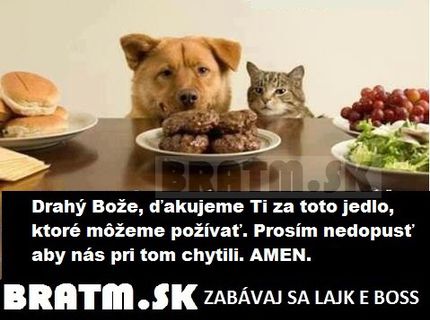 Psia modlitba :)