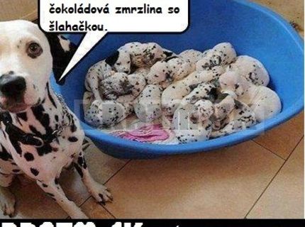 Čo tam vidíte ako prvé?:D