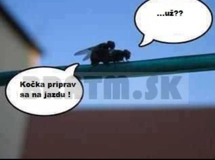 Prichytení pri čine :D
