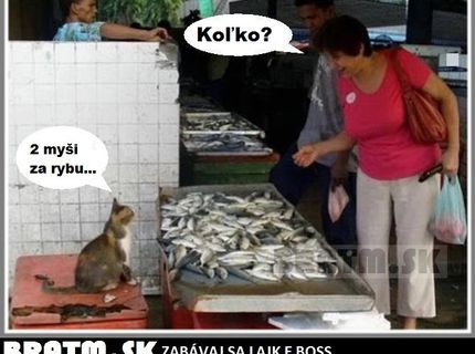 Aj takto sa možno podľa hygienikov kšeftuje s potravinami v Čínskych reštikách :D
