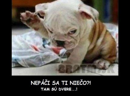 Odkaz pre neprajníkov :D