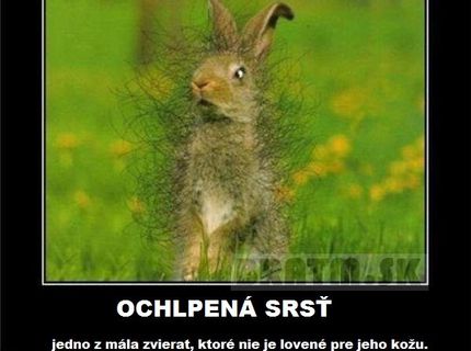 Jéééj ten je ale chutný :)