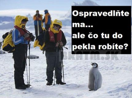 Čo tu do pekla robíte ? :D