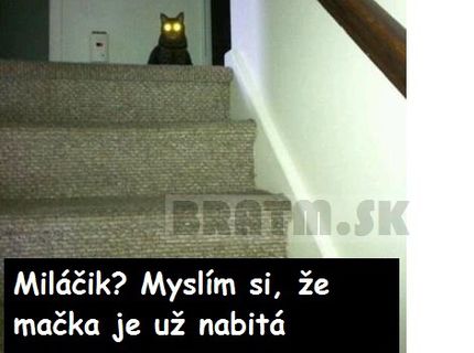 Ako zistíte, že máte nabitú mačku?:D