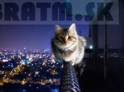 Cickááá :)