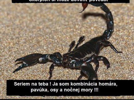 Škorpión je pán, on si to môže dovoliť povedať :D