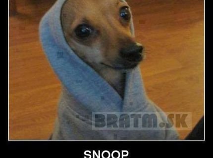 Tak toto je podarený SNOOP DOGG :D
