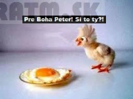 Osudové stretnutia v ríši hydiny
