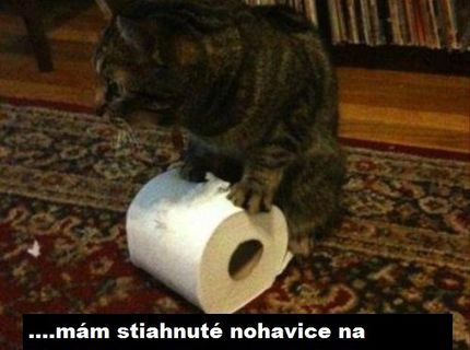 To je nezbedník :D A toto robí stále :D