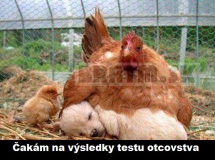 Jeej, tak toto je krásne :)