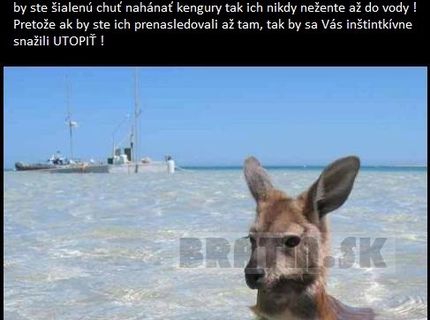 Myslíte, že je to možné?