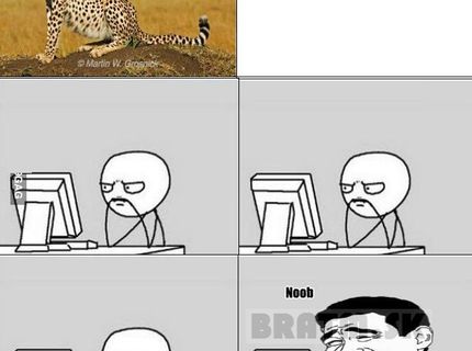 čo dokáže gepard ? :D