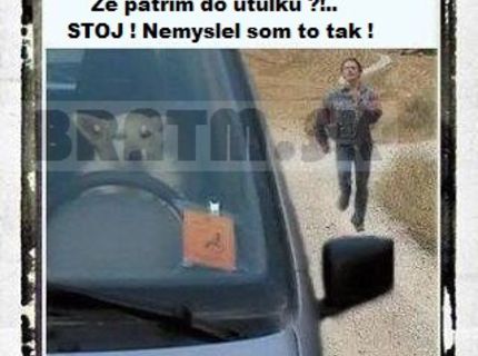 Šikovný psíček a jeho blbý majiteľ :D