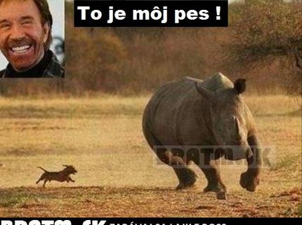Chuck Norris a jeho pes :D