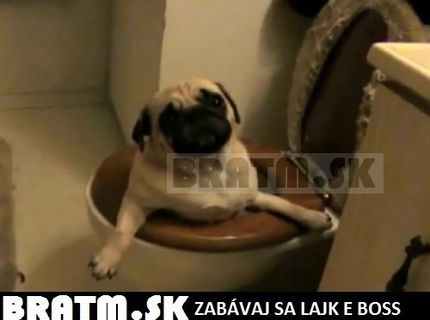 Bol som smädný, no a čo ?! :D