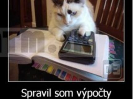 Prekrásne vychcaná mačička :D