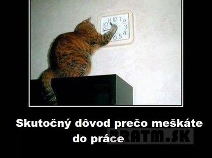 Dôvod, prečo vždy meškám do práce :D ale ako to vysvetlím šéfovi ?! :D