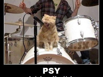 PSY sa brááánia úútokom :D :D