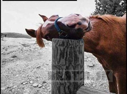 Milujem tento post :)