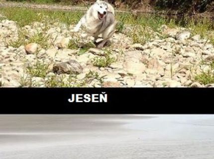 Milujem všetky ročné obdobia :D