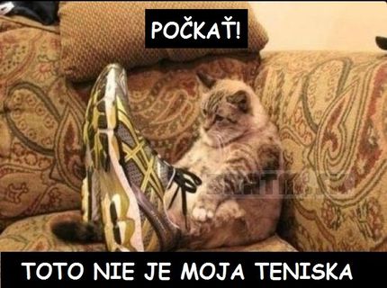 Počkať... toto nie je moja teniska :D