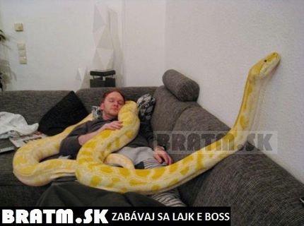 Oddych s domácim miláčikom :D