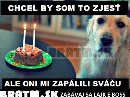 Chcel by som to zjesť, ale oni mi zapálili svááču :D