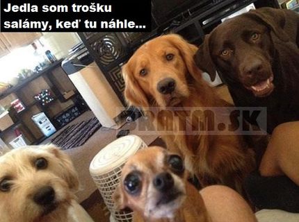:D toto je veľmi výstižné !!! :D