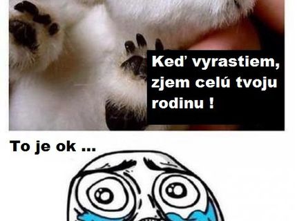 Milujeme zvieratká :D
