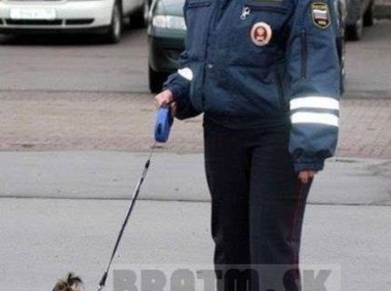 Takto vyzerá ruská polícia :D