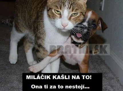 Miláčik, kašli na to :)