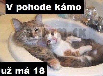 To je v pohode kámo... ona už má 18 :D :D