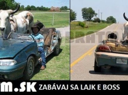 Máte aj vy svojho miláčika, ktorého beriete všade so sebou ? :)