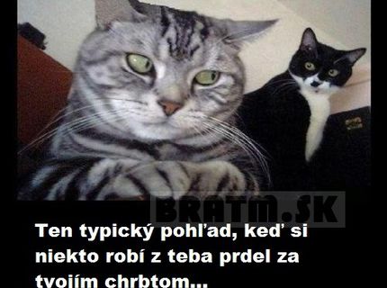 Poznáte ten typický pohľad, keď si niekto z vás robí prdel za vašim chrbtom ? :D