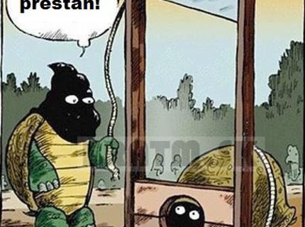 Korytnačia výhoda :D