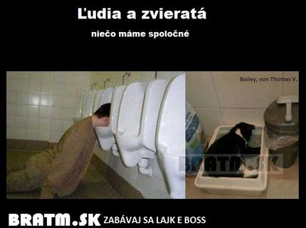 Čo máme spoločné so zvieratami ?! :D