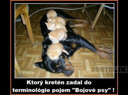 "Bojové psy" ? :D