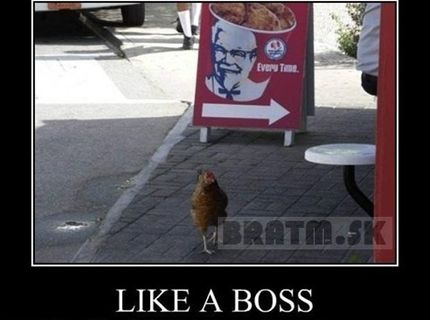 LIKE A BOSS :D