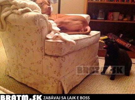 Heeej! obsadila si mi fleka :D