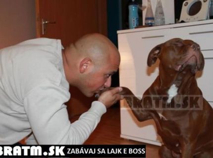 Toto je láska :)