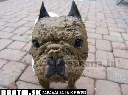Tak toto je rozkošný ksichtík :D
