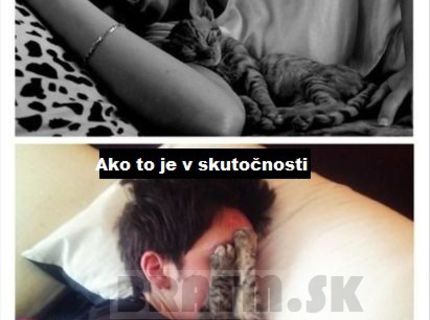 Ako to vyzerá, keď spíte s mačkou ? :D