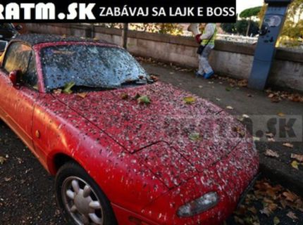 Útoky angry birds nepoznajú hraníc :D