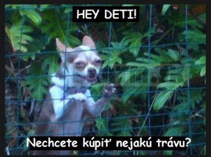 Tak toto je díler roka :D :D