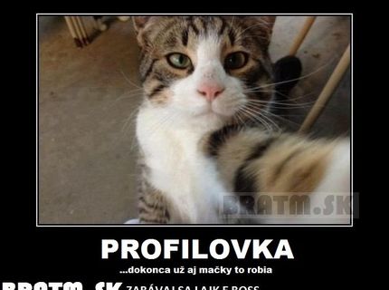 Už aj mačky majú svoje profilovky :D