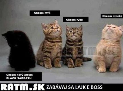 Žeby čierna ,,ovca,, rodiny ? :D