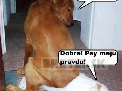 Toto sú najlepšie presviedčacie metóty :D