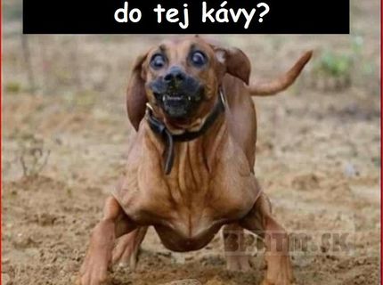Kofeín robí divy :D